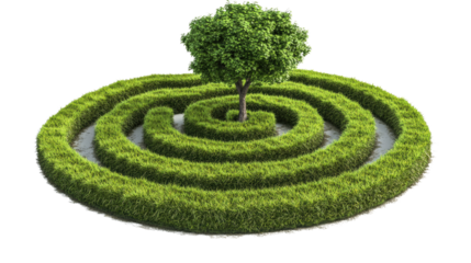 Lush green grass maze with curved pattern isolated on white background
