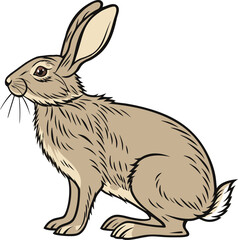 A detailed, hand-drawn illustration of a wild hare with brown fur and prominent ears, depicted in a profile view on a plain white background.