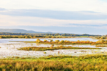 Fototapeta premium Wetland view in a rural landscape at autumn