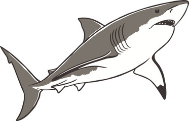 Great White Shark Illustration. Realistic Great White Shark Design. Underwater Great White Shark Art. Great White Shark Swimming Pose. Wild Ocean Great White Shark. Dangerous Shark Silhouette