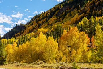 When the mountains turn to gold, Autumn, USA