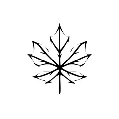 minimalist black and white maple leaf illustration