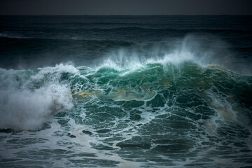 Sunlight shines through a powerful wave as it breaks, lighting up the water with a beautiful green glow at Bronte Beach.