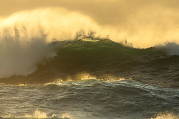 Sunlight shines through a powerful wave as it breaks, lighting up the water with a beautiful green...