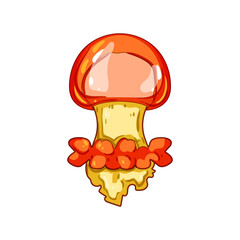 sting jellyfish cartoon vector illustration