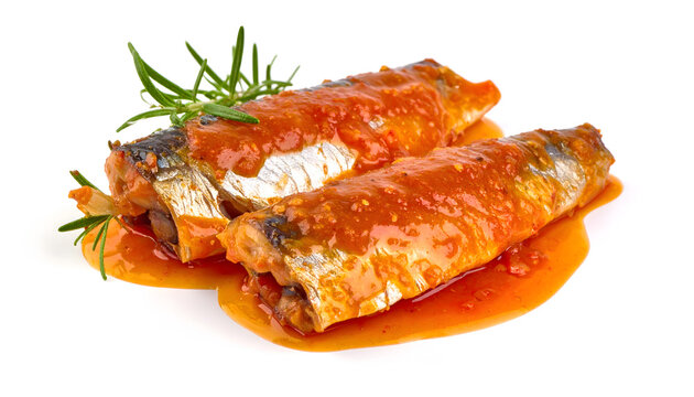 Sardines in Marinara Sauce Presentation
