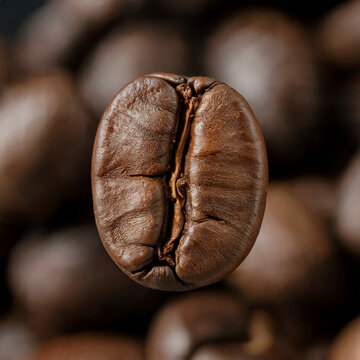 Grano de Caf&eacute; Tostado en Primer Plano con Detalle de la Textura