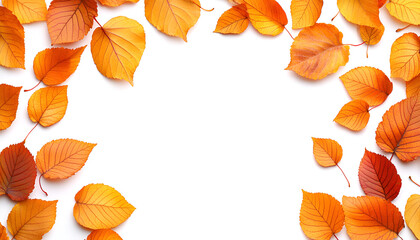 A frame of colorful orange and yellow autumn leaves scattered on a clean white background.