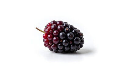 A single, ripe mulberry fruit takes center stage, its elongated, bumpy surface intensely focused against a stark white backdrop