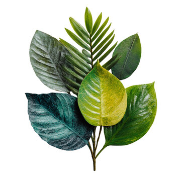 Tropical foliage bundle with varying green tones, minimal composition, on isolated white background --s 250