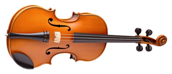 PNG Violin cello white background performance.