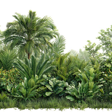 Tropical jungle foliage blend with depth and realistic spacing, on isolated white background --s 250