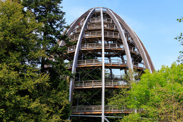 Observation tower Baumei at Treetop Walk (Baumwipfelpfad) in the Bavarian Forest National Park, Germany