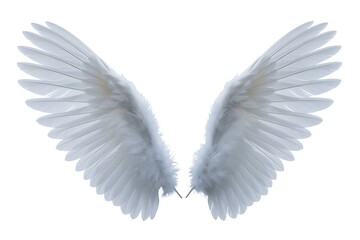 Obraz premium Beautiful angel wings isolated on white background symbolizing freedom and hope for spiritual projects