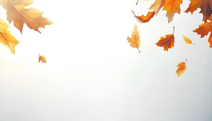 Orange and yellow autumn leaves gently falling against a bright, sunlit background.