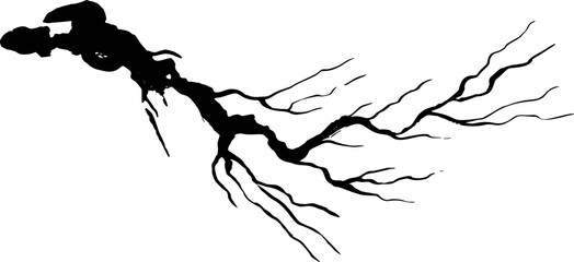 Branch. Isolated black silhouette. Vector decoration element.