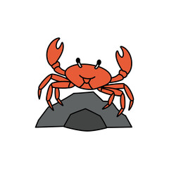 Fototapeta premium Crab on rock near ocean colorful icon no white