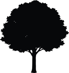 Black silhouette of a deciduous tree isolated on transparent background