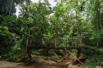 Serene Waterfall Scene in Chiang Mai with Lush Greenery and Bridge