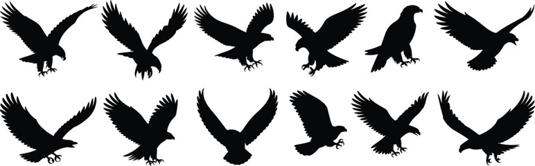 Eagle silhouette set, flying eagle vector, bird of prey clipart, hawk illustration, raptor graphic design, wildlife predator art bundle