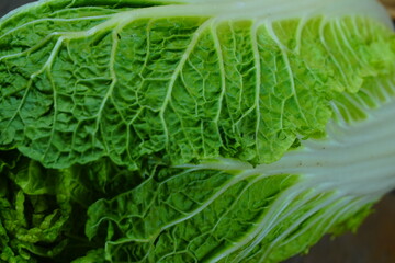 A close-up view of the vibrant green, crinkled leaves of a fresh napa cabbage, highlighting its...