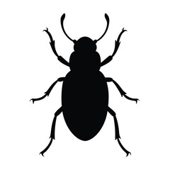 Fototapeta premium Flat vector illustration of a beetle silhouette vector illustration