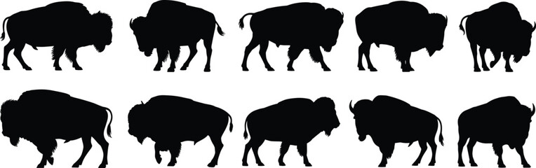 Bison silhouettes, wildlife vector, American buffalo, wild animals, prairie mammals, nature design, grassland wildlife, animal illustration, national park, conservation concept