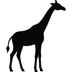 Flat vector illustration of a giraffe silhouette vector illustration