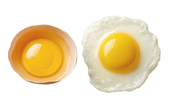 Two fresh eggs: an uncracked yolk in its shell and a sunny side up egg with a golden yolk and white.
