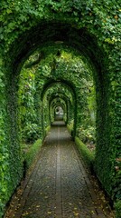 Fototapeta premium Lush green archway garden path