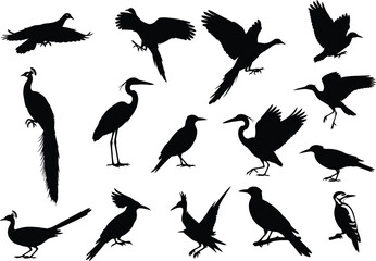 Obraz premium Collection of diverse bird silhouettes in various poses showcasing different species and flight styles against a white background