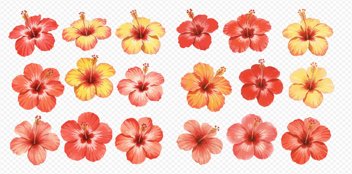 A beautiful collection of watercolor hibiscus flowers in shades of red, orange, and yellow, arranged in rows on a transparent background. - Powered by Adobe