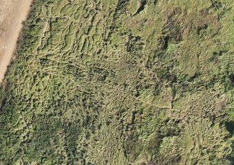 Top View Aerial Photograph