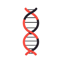 dna strand on white background