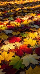 Fototapeta premium A Vibrant Canopy of Autumnal Leaves Illuminating the Forest Floor