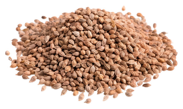 PNG Whole celery seeds spice food