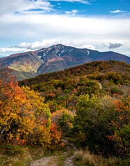 Fototapeta premium Autumn mountain vista