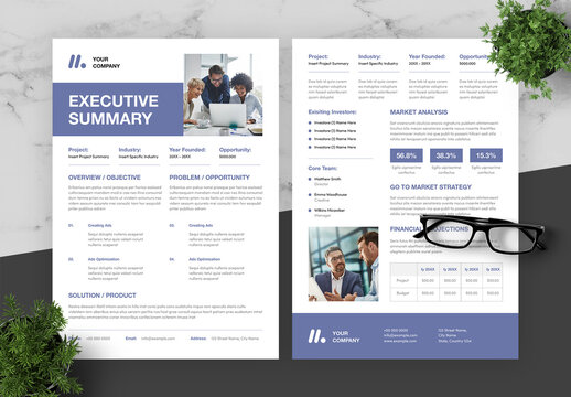 Purple And Black Summary Flyer