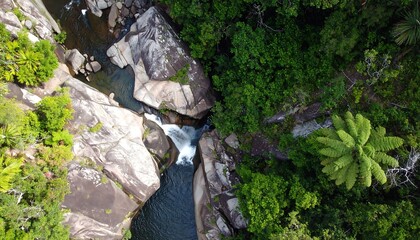 Aerial view of a river flowing through a rocky gorge. Lush green forest surrounds the water