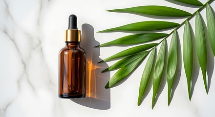 Bottles of wine and champagne with leaves on a white background, isolated, for beauty and health
