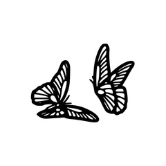 pair of butterflies: vector illustration