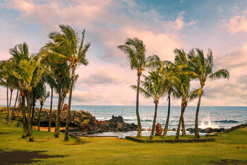 The rising sun bathes the palm trees around the Poko Poko natural swimming pool in the Hanga Vare Vare green open space, Hanga Roa, Rapa Nui, Chile.
