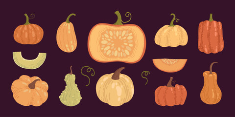 Cartoon pumpkins, halloween squash, fall harvest gourds. Pumpkins, squash and leaves vector symbols illustrations. Autumn thanksgiving and halloween pumpkins collection