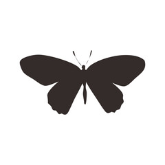 Butterfly Silhouettes Vector 