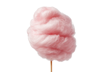 Fluffy pink cotton candy on a stick
