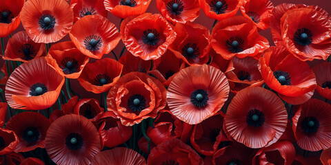Vibrant red poppies with dark centers orange black