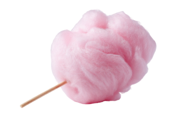 Fluffy pink cotton candy on a stick (1)