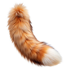 Fox Tail Isolated on White Background