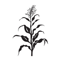 Corn Stalk Silhouette, Illustration Isolated On White Background 