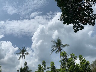 clear clouds during the day sky